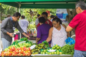 Imagem da notícia - SEAD tem primeira feira de produtos orgânicos